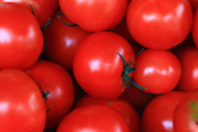 高糖度トマト